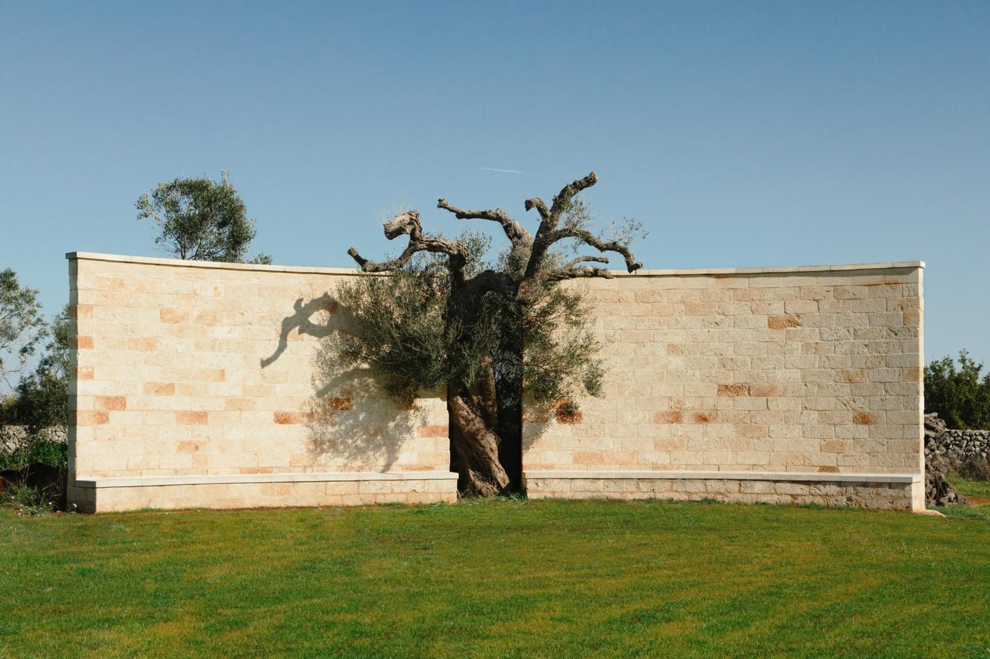 Secolario Masseria Del Viverbene Hotel Palmariggi Luaran gambar