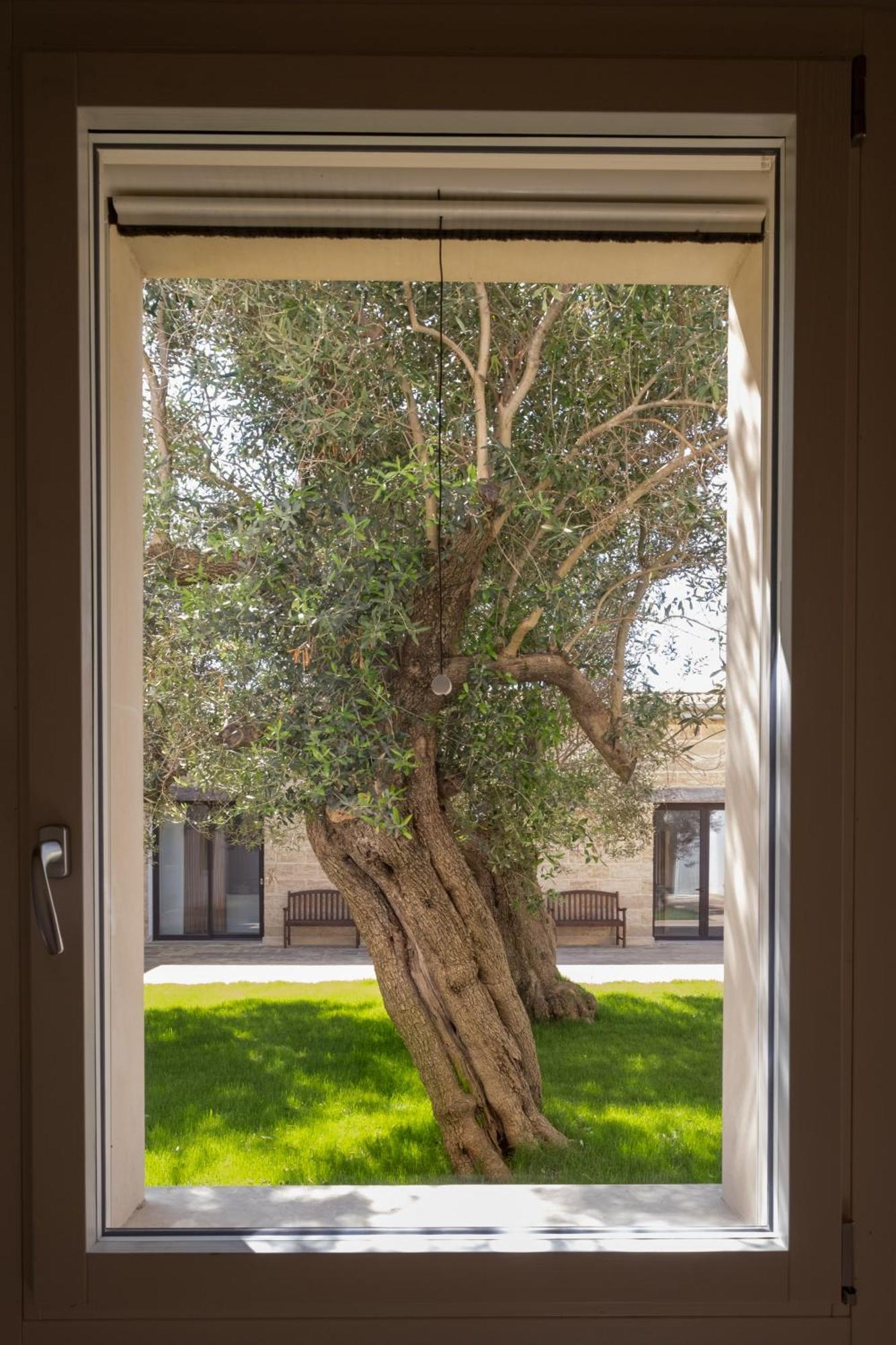 Secolario Masseria Del Viverbene Palmariggi Luaran gambar