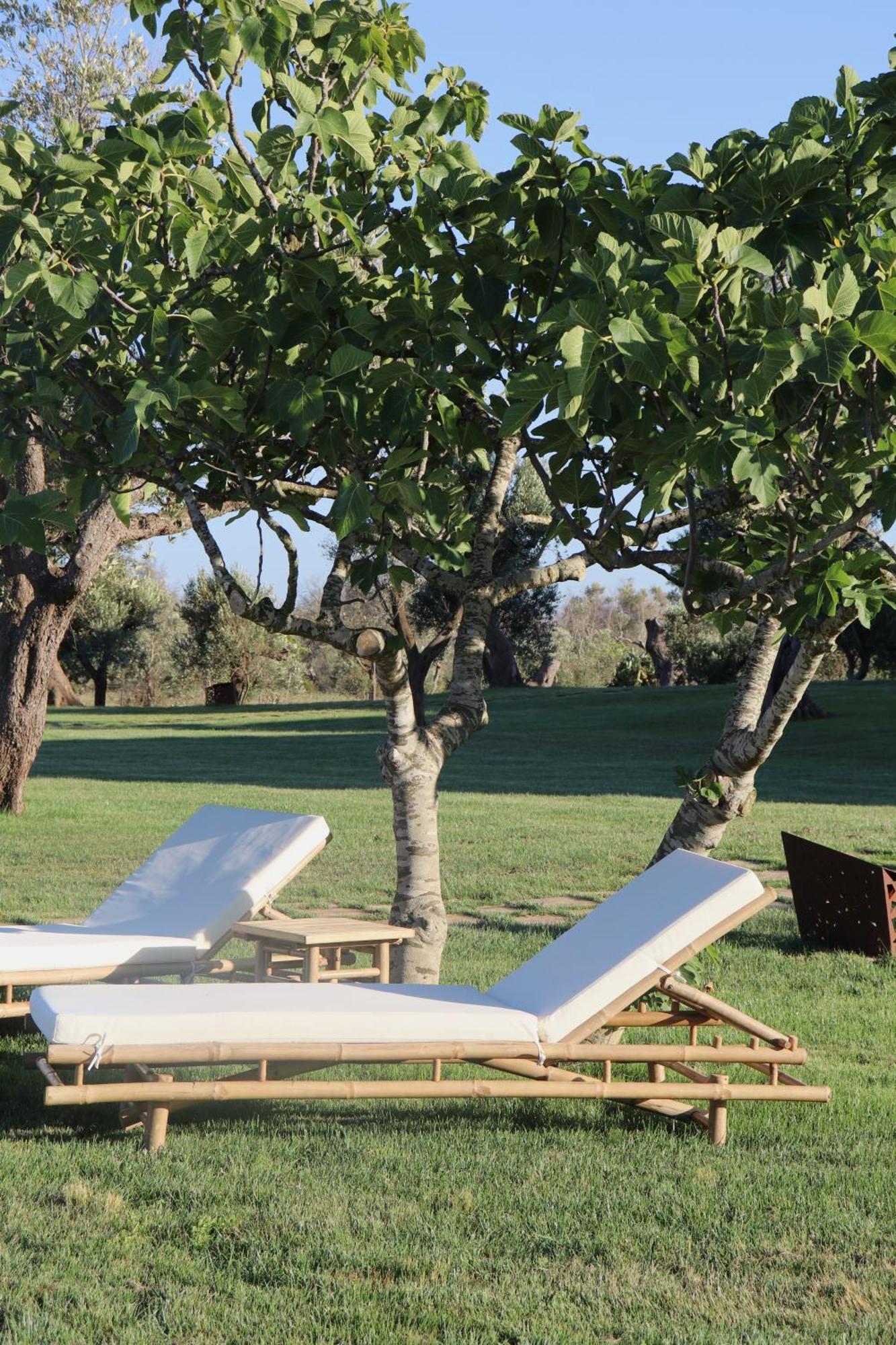 Secolario Masseria Del Viverbene Hotel Palmariggi Luaran gambar