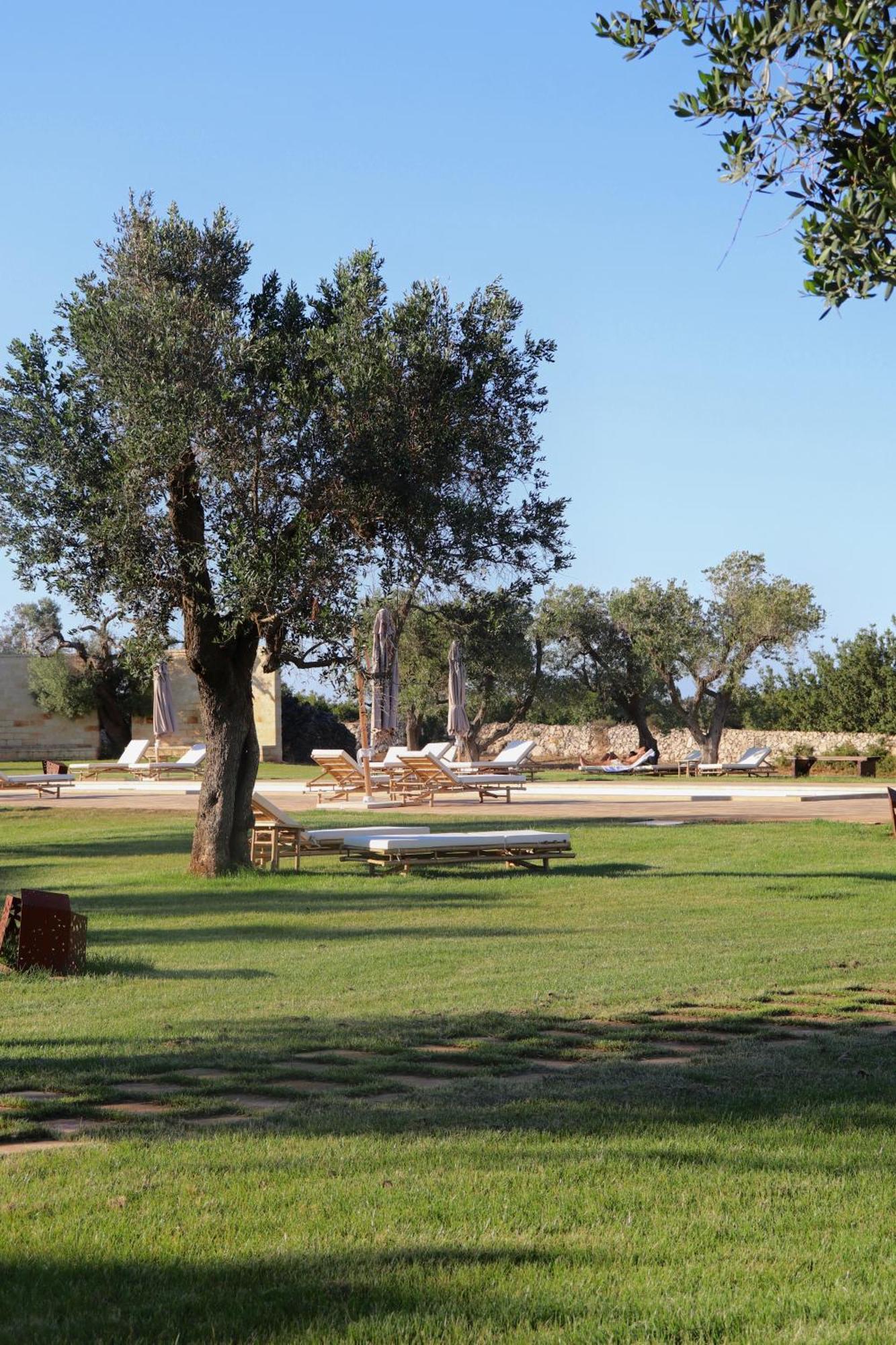 Secolario Masseria Del Viverbene Palmariggi Luaran gambar